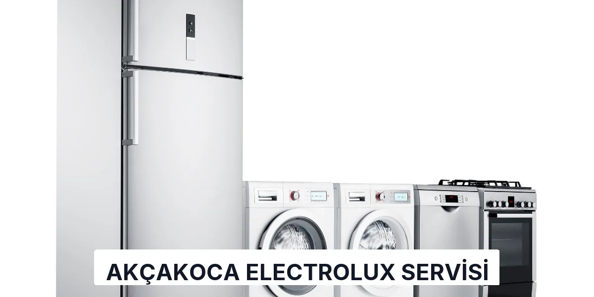 Akçakoca Electrolux Servisi